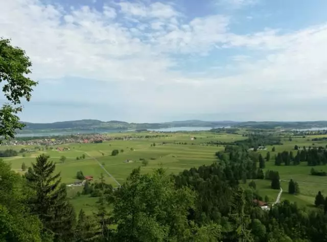 1587184414547636.png 888.png