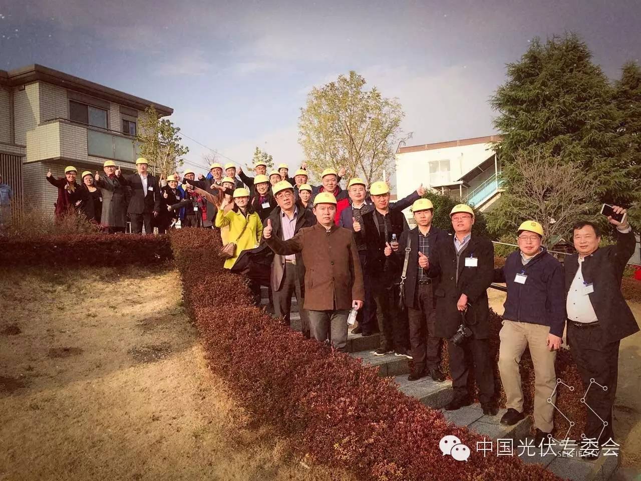 1587203854451497.jpg 13.jpg