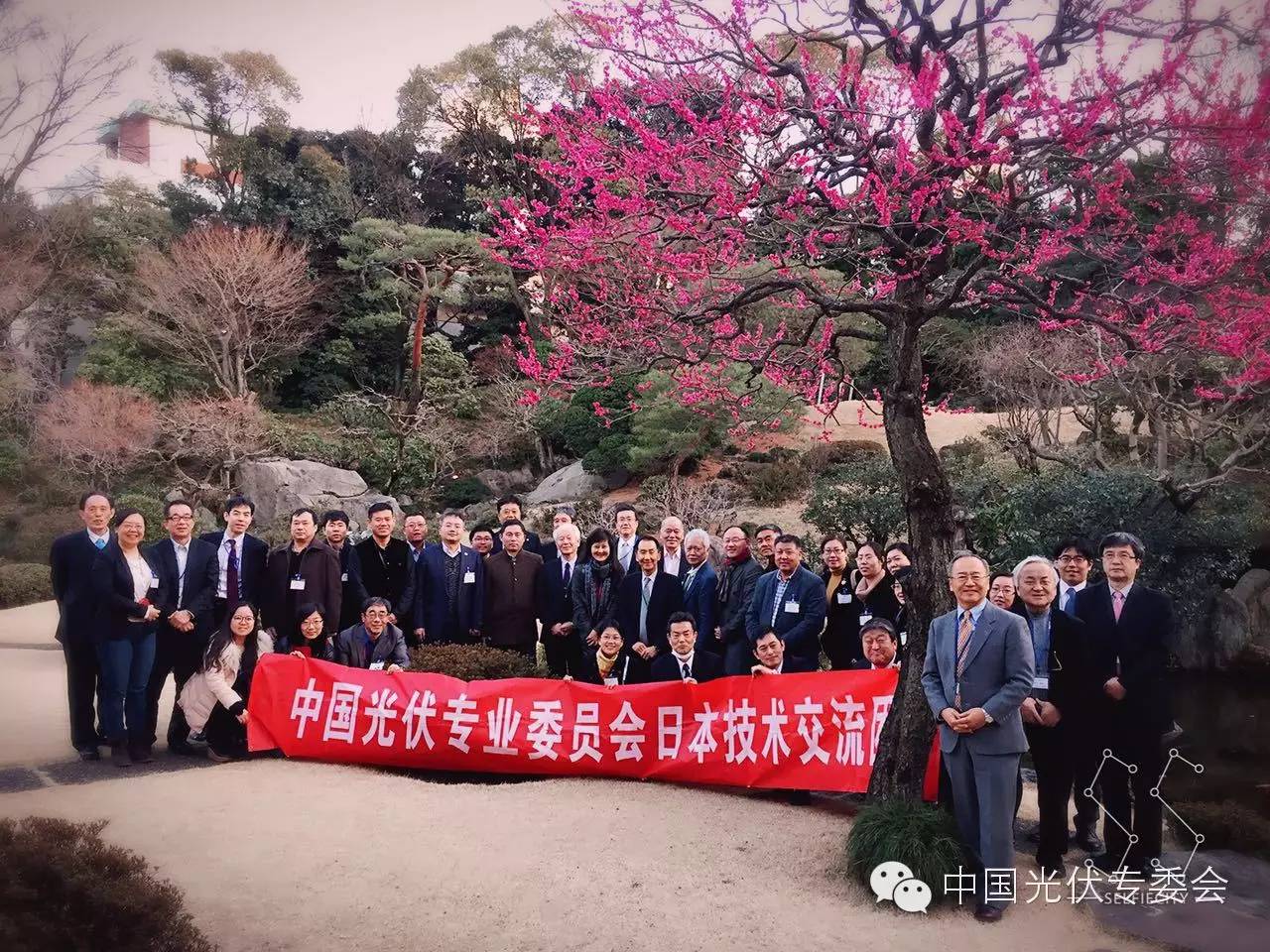 1587204285880864.jpg 21.jpg