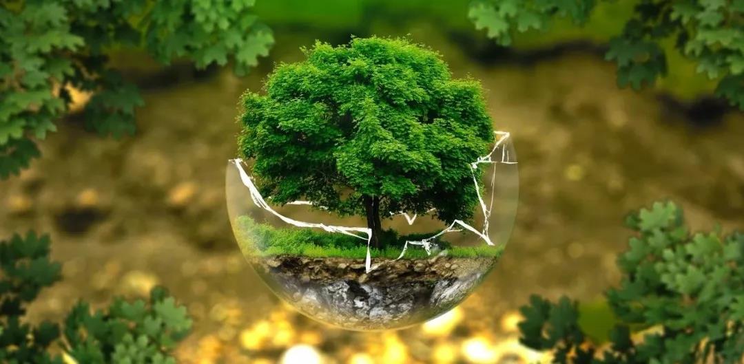 1587548949718087.jpg 123.jpg