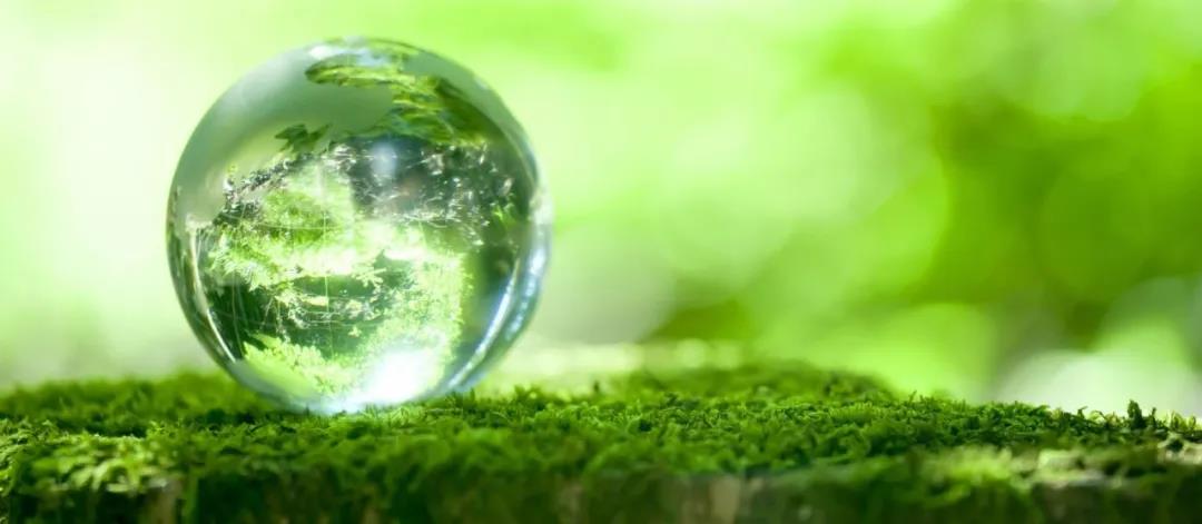 1587549204698511.jpg 125.jpg