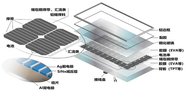 1670390557381573.jpg 1670384699759859.jpg