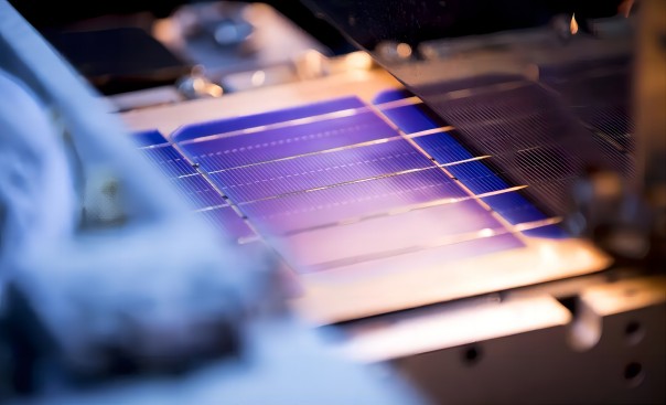 1693377288660324.jpg 640(1).jpg