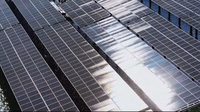 1699003166293427.gif 微信圖片_20231103171713.gif