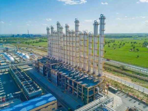 1699155895577928.jpg 640 (2).jpg