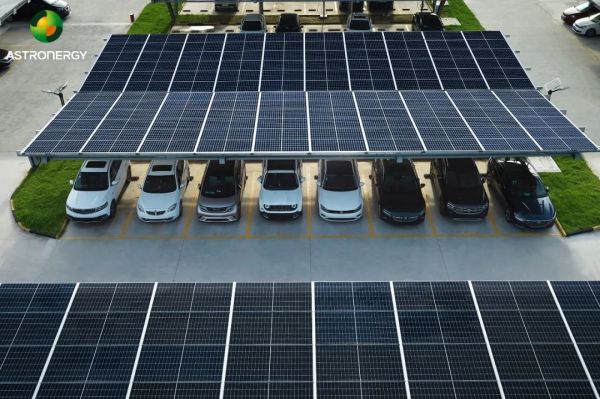 1701764496532234.jpg 640 (1).jpg