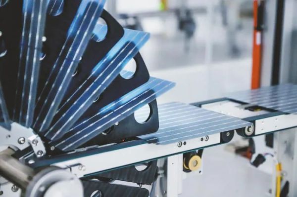 1701843564781689.jpg 640 (1).jpg