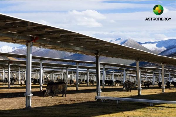 1705548711736746.jpg 640 (3).jpg