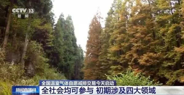 1706158679127937.jpg 8.jpg