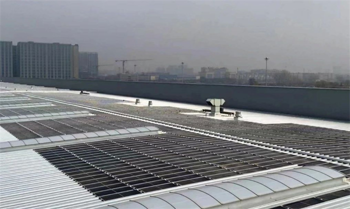 1712024139129656.jpg 微信圖片_20240402100748.jpg