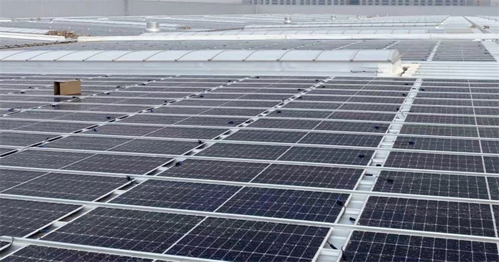 1712024155259037.jpg 微信圖片_20240402100759.jpg