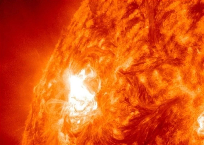 1712641709125859.jpg 55.jpg