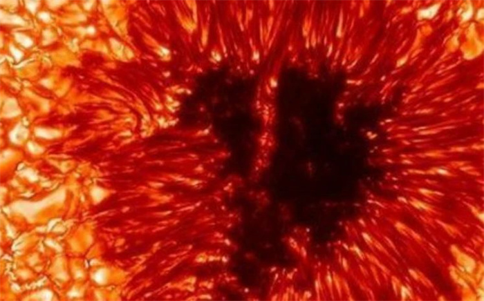 1712641717365627.jpg 66.jpg