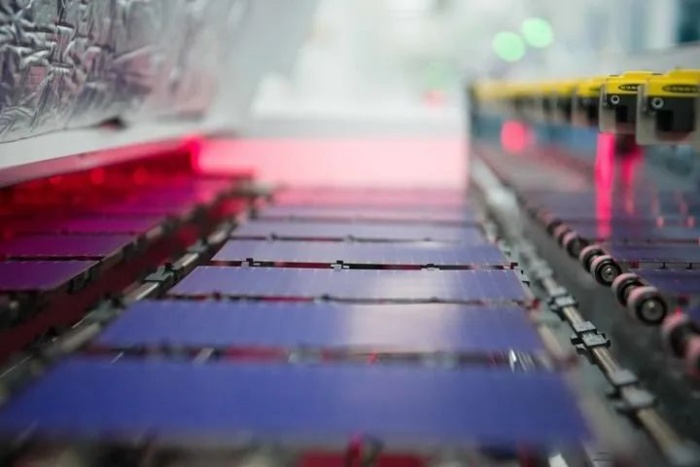 1726827060862411.jpg 微信圖片_20240920175613_副本.jpg