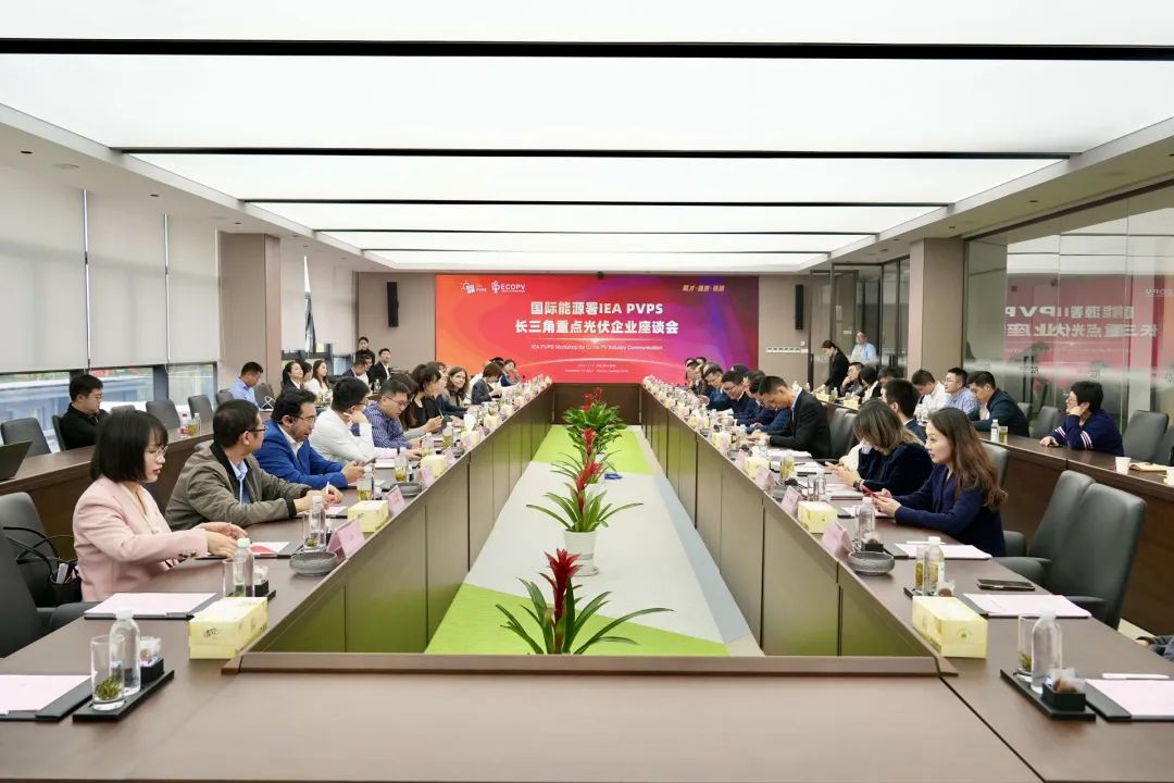 1733192636692233.jpg 1733192636692233.jpg