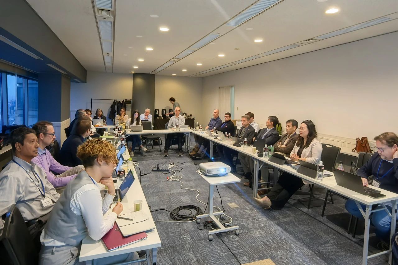 1733195119496547.jpg 1733195119496547.jpg