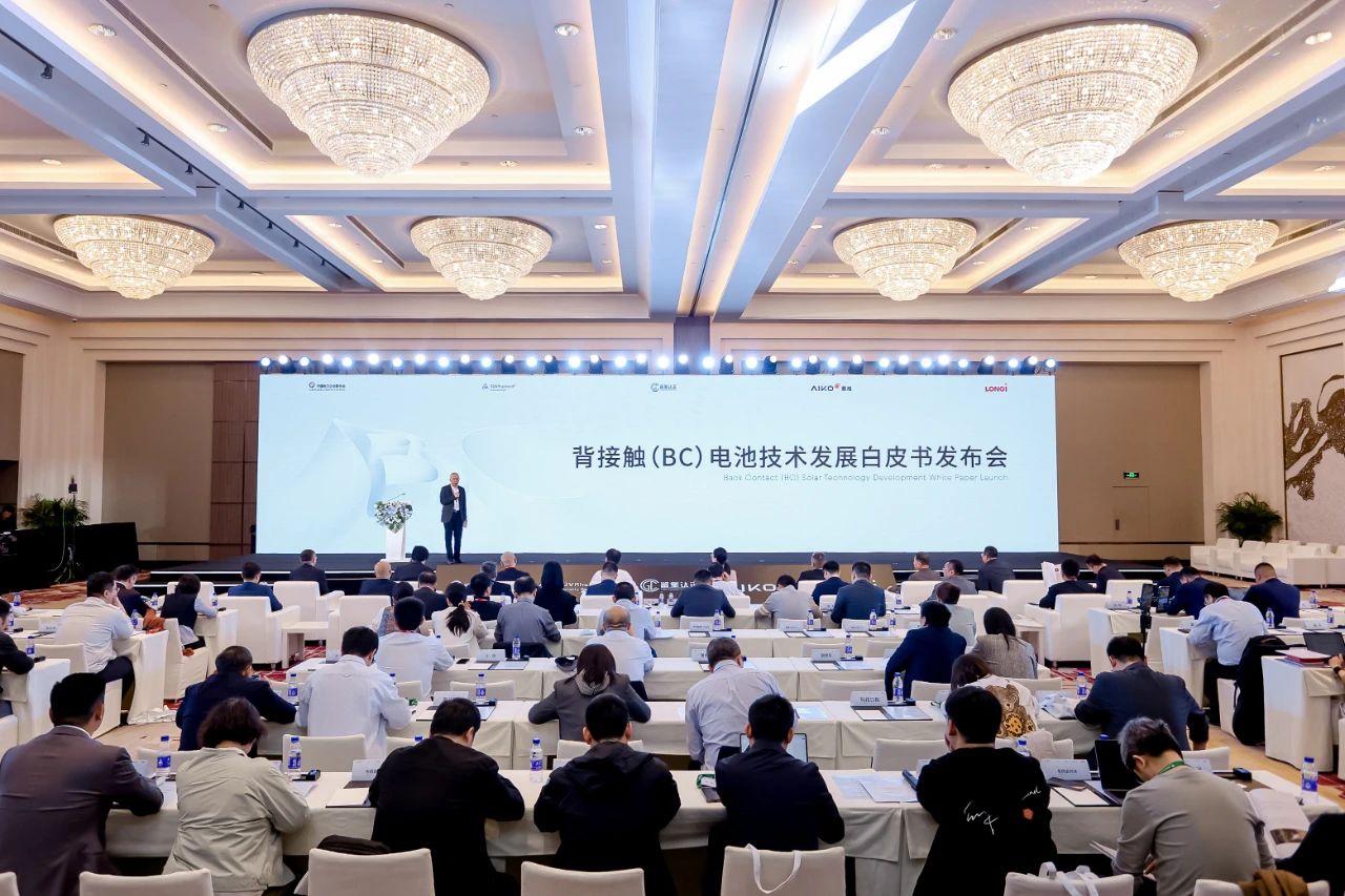 1747731059662497.jpg 1747731059662497.jpg