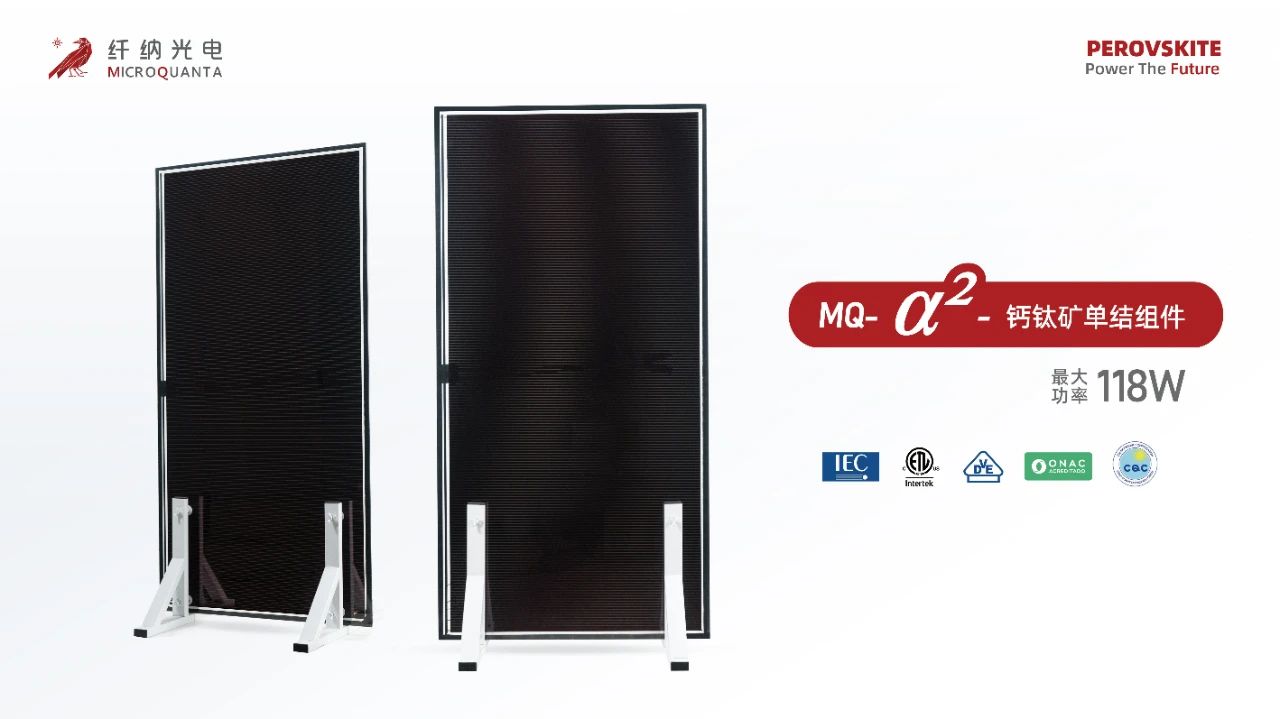 1749607382746631.jpg 1749607382746631.jpg