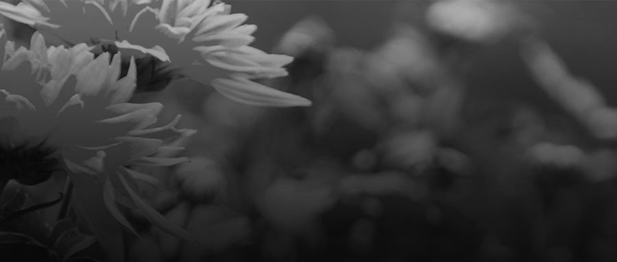 1750214601893328.png 1750214601893328.png