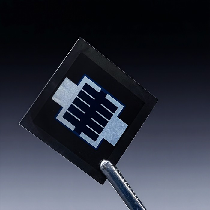 1757664474925391.jpg 微信圖片_2025-09-12_160606_080.jpg